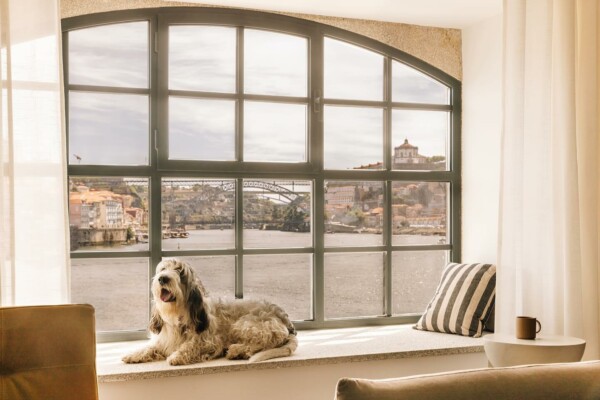 The Rebello - The new 5⭐️ hotel, on the banks of the Douro, built from the 18th century warehouses that helped raise the city of Porto. It owes its name to the wooden boats that used to transport barrels of wine down the Douro River, from the old vineyards of the Douro Valley to Gaia.
For all kinds of people, from all walks of life, with all kinds of dreams. Always with a warm welcome.
In five minutes, you’ll be in the center of the Port wine cellars, bars and restaurants of Vila Nova de Gaia. As you pass over the D. Luís I Bridge, with the Douro at your feet, you can discover the Ribeira area, recognized as a UNESCO World Heritage Site.
Despite being in a historic area, The Rebello has not stood still in time. With its stunning space and bold design, you can expect a totally different experience from what you’re used to.The sophisticated rooftop is a love letter to this landscape, accompanied by perfectly prepared snacks and cocktails.
Because sometimes it’s good to have another perspective.
A cozy spa 🧖♀️ with an indoor pool.
A pet-friendly stay with all the comfort needed for them to wag their tails 🐾
Luxury and excellent service, without pretension.
The ideal place to experience local life.
🛎️
vanguartour travelwithattitude portugal porto europe petfriendly sustainable douro river unesco